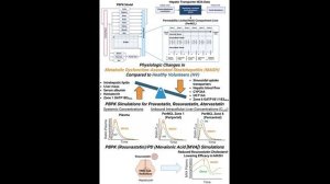 Парадокс статинов (розувастатин, правастатин, аторвастатин) в больной печени