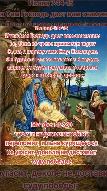 16 ноября 2025 г. смотреть онлайн