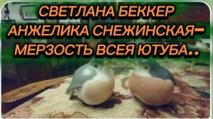 САМВЕЛ АДАМЯН, ОБЗОРЫ ОТ СВЕТЛАНЫ БЕККЕР НА СНЕЖКО ГАДКО, СНЕЖИНСКАЯ -МЕРЗОСТЬ ВСЕЯ ЮТУБА..