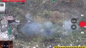 Свинья спасла наших бойцов