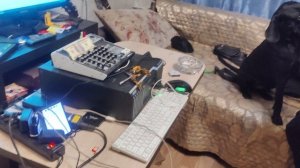 Моя Жизнь Кино @  Музей Псов