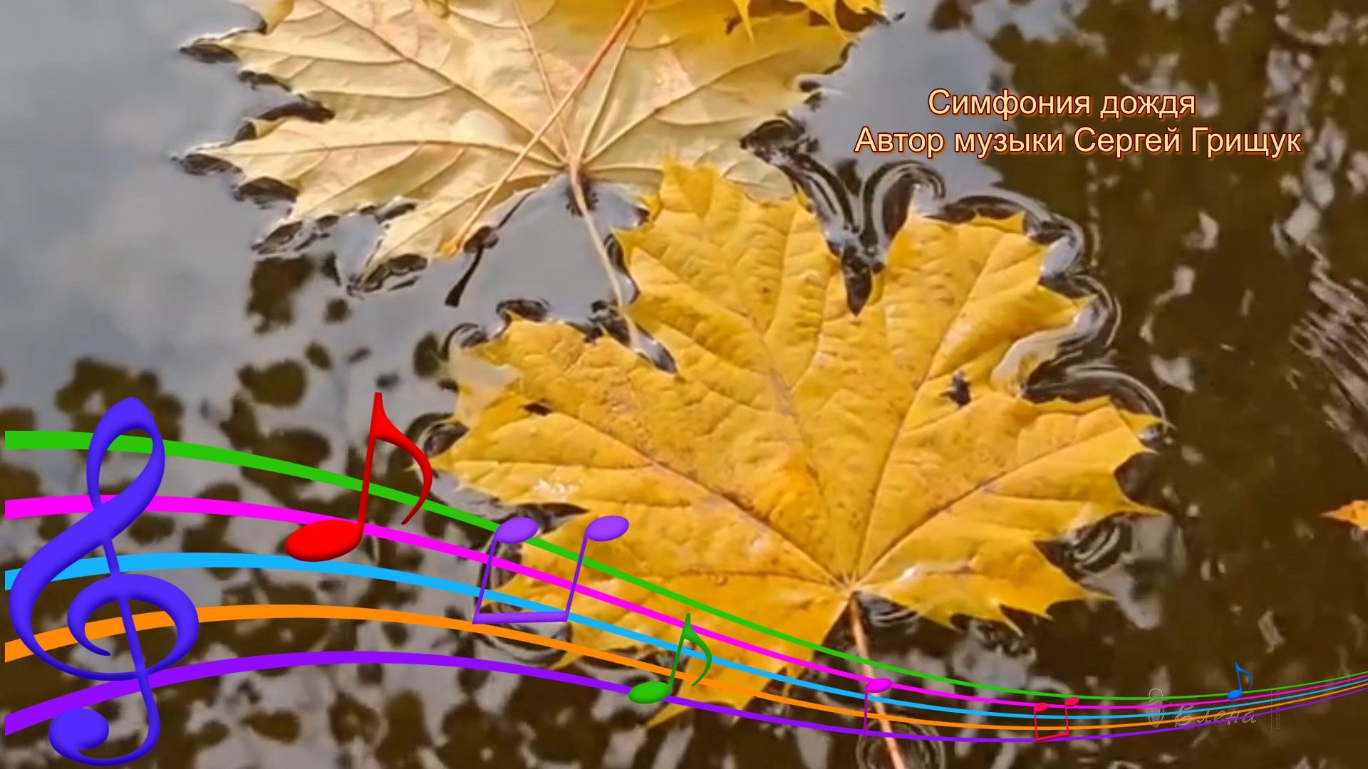 Симфония дождя  *