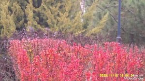 Мариуполь ⚓ сегодня.Приморский район, новые дома 🏢🏗️