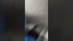 сплю (аааааа ххххх ааааа ххххх)