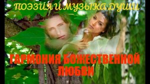 ГАРМОНИЯ БОЖЕСТВЕННОЙ ЛЮБВИ . Автор стихотворения А. Соколов. Автор видео В. Голикова.