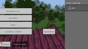 Я против мародёра и поборника в minecraft