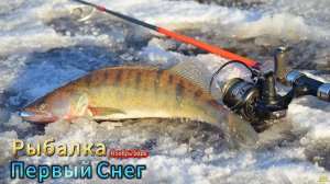 РЫБАЛКА ПЕРВЫЙ СНЕГ ЛОВЛЯ СУДАКА ОТВОДНОЙ РЕКА НЕВА НОЯБРЬ РЫБАЛКА ЗА ГОРОДОМ