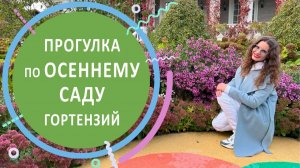 Прогулка по осеннему саду гортензий