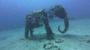 Дайвинг в Дахабе. Египет. 2025