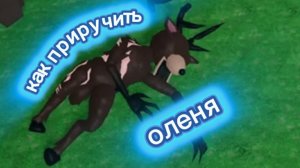 Как приручить оленя в 99 ночей в лесу