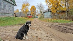 Так. Летняя пора прошла - стихи Виктора Левашова, Ярославль.