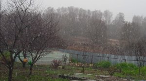 15.11.25г. Первый СНЕГ!!!   Скоро ЗИМА!!!