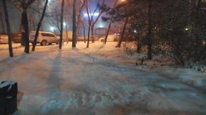 Суровая зима пришла... (