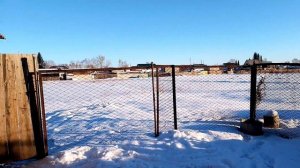 Готовим нежный пикантный салатик / готовим мясо на копчение