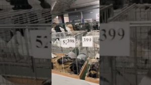 СГД едет на Международную выставку в Москву, ноябрь, 2025