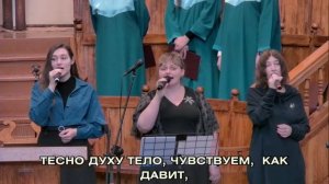 В ВЫШИНЕ ПРЕКРАСНОЙ