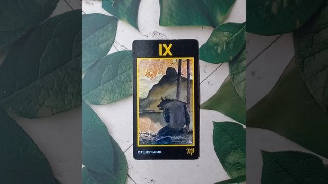 Для начинающих.Таро Манара.Старший аркан Отшельник.