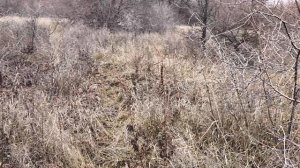 ПОЕХАЛИ _ в ЛЕС!!!! Что ПРИВЕЗЛИ?.