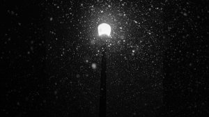 Фонарь © Copyright: Бронислав Сычёв, 2022
Свидетельство о публикации №122121103256