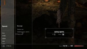 The Elder Scrolls V  Skyrim. Скайрим. Игра в режиме выживания ч5