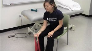 Сгибания кисти с резиной / Seated Curls with Theraband