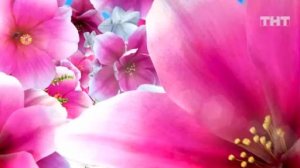 Дом-2: Свидание Маши Ли и Артура Кулакова