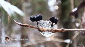 Экотерапия 58 серия.