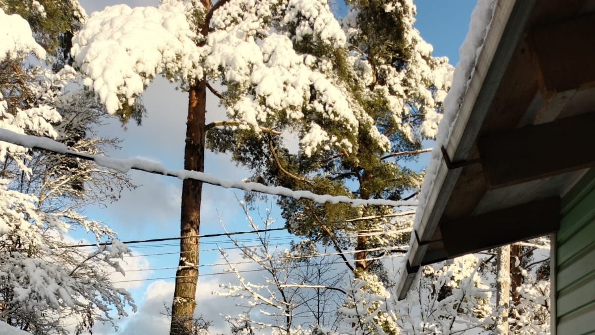 Первый снег в Петербурге