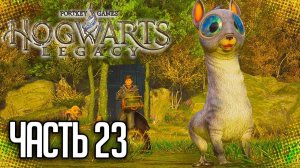 ПРОХОЖДЕНИЕ HOGWARTS LEGACY – ХВАТЬ-МЕШОК #23