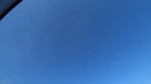 16.11.25 г. Андижанская порода голубей (3)