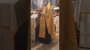 09.11.2025 - Молебен о воинах; прот.Николай Цирке