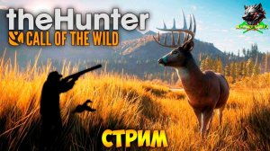 theHunter Call of the Wild #2 🐶 - Открытие Сезона Охоты с Собакой - BLOODHOUND DLC (2025)