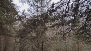 Начинаю новою жизнь