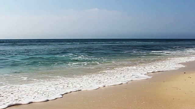 Звук природы. Звуки тропического пляжа: пальмы, волны и райская атмосфера