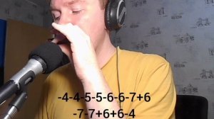 Mad World - Gary Jules на губной гармошке + табы