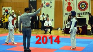 ТХЭКВОНДО 2014 Турнир.