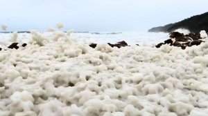 Небывалое количество пены выбросило море на побережье недалеко от Дублина