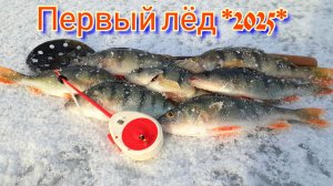 Поймал Окуней | Открыл первый лёд