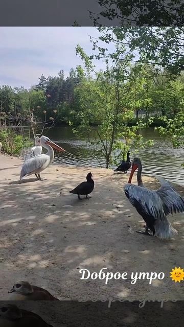 Зоопарк Ростова-на-Дону 🦤