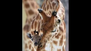 маме от Арины