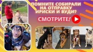 Пять невероятных историй о надежде и любви!