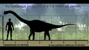 Чем отличаются детёныши динозавров от взрослого маленького динозавра. Павел Скучас