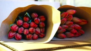 Эксперт предложила варианты подарков на День матери