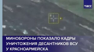 Кадры уничтожения десантников ВСУ у Красноармейска