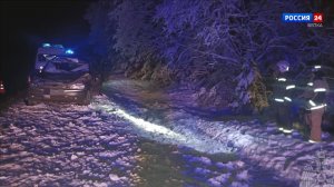 В Сунском районе сбили лося: водитель пострадал