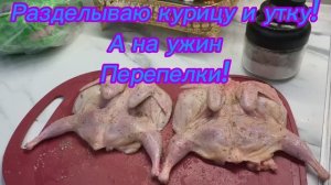 Разделываю птицу! А на ужин ПЕРЕПЕЛА!!