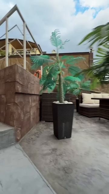 Ваш личный курорт: дом напротив Swissôtel Resort Сочи Камелия #сочи #недвижимостьсочи #риэлторсочи смотреть онлайн