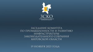 Заседание комитета по промышленности 19.11.2025