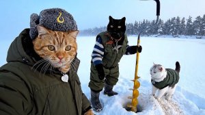 Влог рыжего кота на зимней рыбалке 🐱