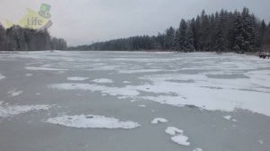 Окунь первый лед. Как где и на что ловить окуня в ноябре-декабре чтобы клевал по максимуму.